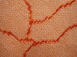 Photo4: 6415T06z560 Vintage Japanese Kimono Silk SHIBORI HAORI  Orange (4)