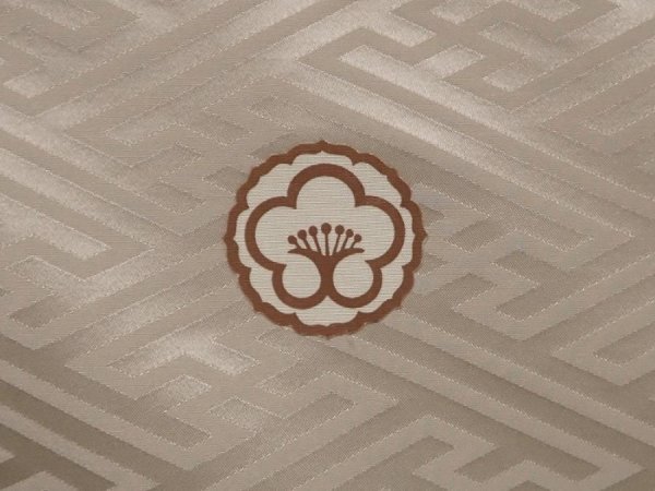 Photo5: 6420T13z960  Japanese Kimono Synthetic Men's  Sayagata Sand beige (5)