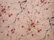 Photo5: 6515T14z700 Vintage Japanese Kimono Silk KOMON Plum blossom Pink (5)
