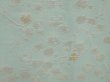 Photo4: 6519T08z840 Vintage Japanese Kimono Silk HAORI Plum blossom Light blue (4)