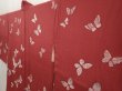 Photo2: 6519T11z420 Vintage Japanese Kimono Silk HAORI Butterfly Wine red (2)