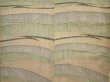 Photo5: 6522T12z680 Vintage Japanese Kimono Silk TSUMUGI  Straw (5)