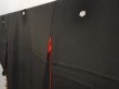 Photo2: 6526T12z720 Antique Japanese Kimono Silk TOMESODE Peony Black (2)