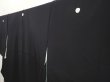 Photo2: 6526T14z1560  Japanese Kimono Silk Artist work TOMESODE Jigami Black (2)