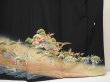 Photo7: 6526T14z1560  Japanese Kimono Silk Artist work TOMESODE Jigami Black (7)