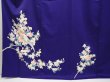 Photo5: 6603T11z890  Japanese Kimono Silk TSUKESAGE Bird Dark lavender blue (5)