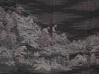 Photo8: 6604T11z1050  Japanese Kimono Silk TSUKESAGE Temple Black (8)
