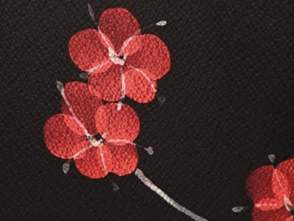 Photo6: 6604T12z1120  Japanese Kimono Silk KOMON Plum blossom Black (6)