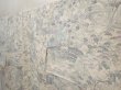 Photo2: 6604T14z980  Japanese Kimono Silk KOMON Garden Off-white (2)