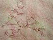Photo3: 6605T04z410 Vintage Japanese Kimono Silk SHIBORI HAORI Plum blossom (3)