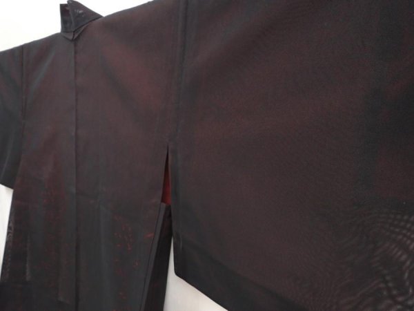 Photo2: 6609T06z240 Vintage Japanese Kimono Silk See through HAORI Plants Black (2)