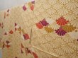 Photo2: 6609T11z740 Vintage Japanese Kimono Silk KOMON Chrysanthemum Champagne (2)