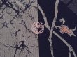 Photo7: 6609T12z960 Vintage Japanese Kimono Silk TSUMUGI Branch Gray (7)