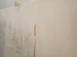 Photo2: 6611T01z580 Vintage Japanese Kimono Silk HAORI Flowers Off-white (2)