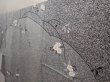 Photo3: 6615T01z990  Japanese Kimono Silk Artist work TSUKESAGE Flower Gray (3)