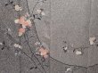 Photo8: 6615T01z990  Japanese Kimono Silk Artist work TSUKESAGE Flower Gray (8)
