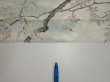 Photo6: 3B06z90  Japanese Kimono Silk  FABRIC Flowers Off-white 67.3x14.4 (6)