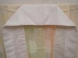Photo6: 6616T03z650  Japanese Kimono Silk JUBAN  Light cream (6)