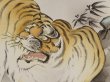 Photo4: 6618T05z590 Vintage Japanese Kimono Silk Men's HAORI Tiger Navy (4)