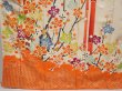 Photo5: 6618T13z1080 Vintage Japanese Kimono Silk FURISODE Bamboo Orangered (5)