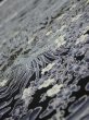 Photo4: 3E04z90  Japanese Kimono Silk  FABRIC Garden Black 64.6x14.2 (4)