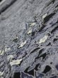 Photo5: 3E08z60  Japanese Kimono Silk  FABRIC Garden Black 79.9x6.7 (5)
