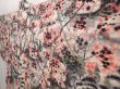 Photo2: 6622T04z390 Vintage Japanese Kimono Silk MEISEN HAORI Plum tree Off-white (2)