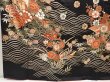 Photo6: 6629T11z1640  Japanese Kimono Silk FURISODE Royal cart Black (6)