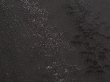 Photo4: 6630T02z560 Vintage Japanese Kimono Silk HAORI Trees Black (4)