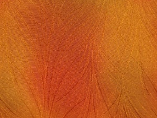 Photo4: 6701T08z530 Vintage Japanese Kimono Silk HAORI  Orangered (4)