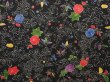 Photo3: 6703T05z590 Vintage Japanese Kimono Silk HAORI Flower Black (3)