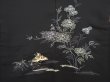 Photo3: 6704T06z590 Vintage Japanese Kimono Silk HAORI Bird Black (3)