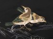 Photo4: 6704T06z590 Vintage Japanese Kimono Silk HAORI Bird Black (4)