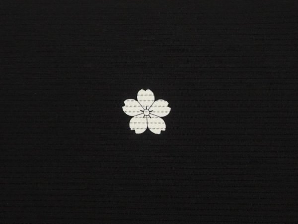 Photo7: 6710T12z670  Japanese Kimono Silk See through KUROMONTSUKI Plain Black (7)