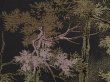Photo4: 6713T01z670 Vintage Japanese Kimono Silk HAORI Trees Black (4)
