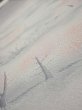 Photo4: 3M08z40  Japanese Kimono Silk  FABRIC Garden Gray 63.0x7.7 (4)