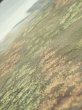 Photo4: 2J07z40  Japanese Kimono Silk  FABRIC Scenery Light green-gray 59.1x7.5 (4)