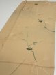 Photo3: 2C03z60  Japanese Kimono Silk  FABRIC Plum branch Light brown 46.5x14.8 (3)