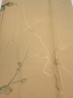 Photo1: 2C05z50  Japanese Kimono Silk  FABRIC Plum branch Light brown 53.5x10.4 (1)