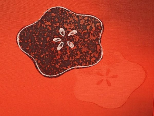 Photo4: 6721T03z590 Vintage Japanese Kimono Silk HAORI Flower Tomato red (4)