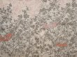 Photo3: 6826T04z590 Vintage Japanese Kimono Silk HAORI Plum blossom Peach-Beige (3)