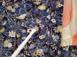 Photo8: 6827T10z640 Vintage Japanese Kimono Silk HAORI Flowers Dark purple (8)