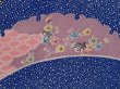 Photo4: 6901T09z550 Vintage Japanese Kimono Silk HAORI Flowers Oriental blue (4)