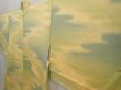 Photo2: 6901T10z480 Vintage Japanese Kimono Silk HAORI  Straw yellow (2)