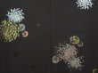 Photo3: 6909T01z670 Vintage Japanese Kimono Silk HAORI Chrysanthemum Black (3)