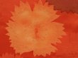 Photo4: 6909T05z570 Vintage Japanese Kimono Silk HAORI Flower Orangered (4)
