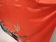 Photo4: 6916T11z1150  Japanese Kimono Silk FURISODE Folding fan Red (4)