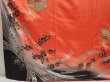 Photo6: 6916T11z1150  Japanese Kimono Silk FURISODE Folding fan Red (6)