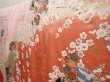 Photo2: 6917T13z1180  Japanese Kimono Silk FURISODE Folding fan Dark coral (2)