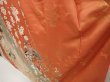 Photo4: 6917T13z1180  Japanese Kimono Silk FURISODE Folding fan Dark coral (4)